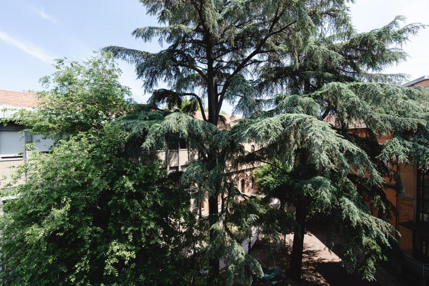 La Favolosa Casa Di Amelie Μπολόνια Εξωτερικό φωτογραφία